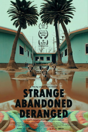 Strange, Abandoned, Deranged (2024)